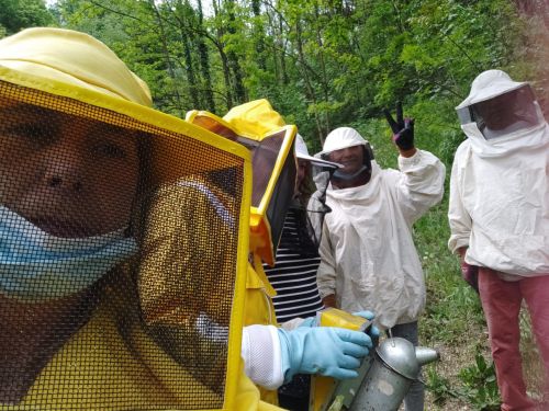 Bienenhaltung - Mai 2021 in Bozen